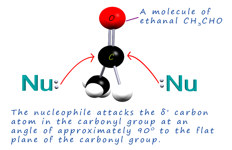 nucleophilic addition occurs at 90 degrees to the flat plane of the carbonyl group